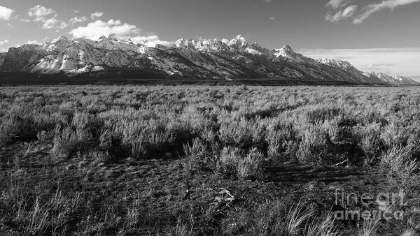 Tetons Art Print featuring the photograph Tetons in Black and White by Edward R Wisell