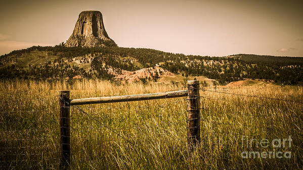 Devils Tower Art Print featuring the photograph The Devils Tower by Perry Webster