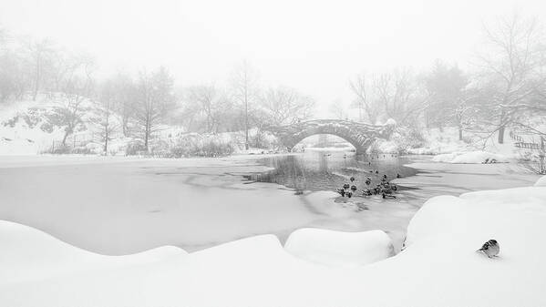 Nyc Art Print featuring the photograph The First Snow Of Central Park by Menghuailin