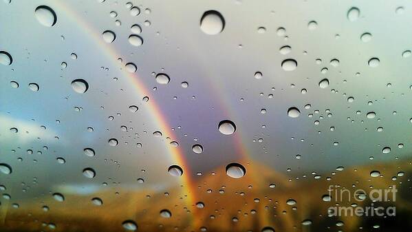 Waterdrops Art Print featuring the photograph The Luck of Rain by Chris Tarpening