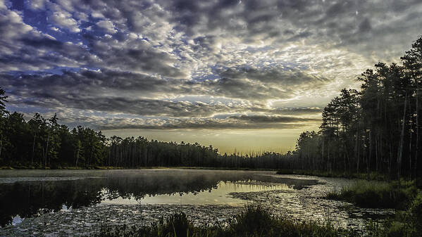 Landscape Art Print featuring the photograph The Pines by Louis Dallara