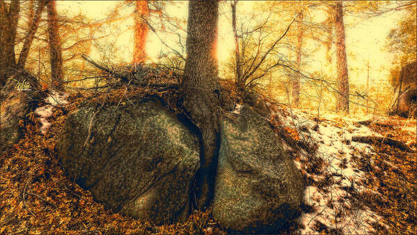 Landscape Art Print featuring the photograph Tree of Inspiration by Douglas MooreZart