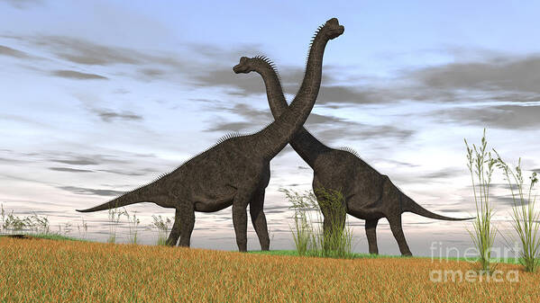 Animal Art Print featuring the photograph Two Large Brachiosaurus In Prehistoric by Kostyantyn Ivanyshen