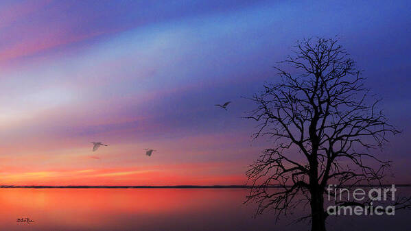 Landscape Art Print featuring the photograph When Day Kisses Night by Betty LaRue