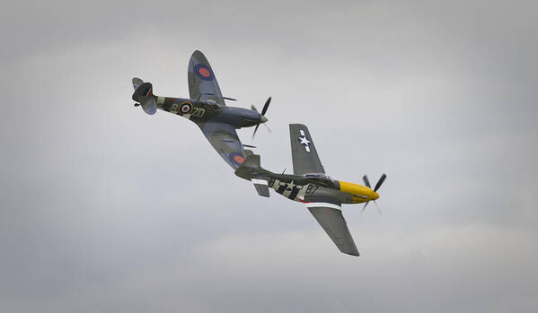 Ferocious Frankie Art Print featuring the photograph Wings and Rudder by Maj Seda