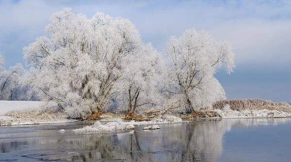 Snow Art Print featuring the photograph Winter Landscape On The River by Delectus