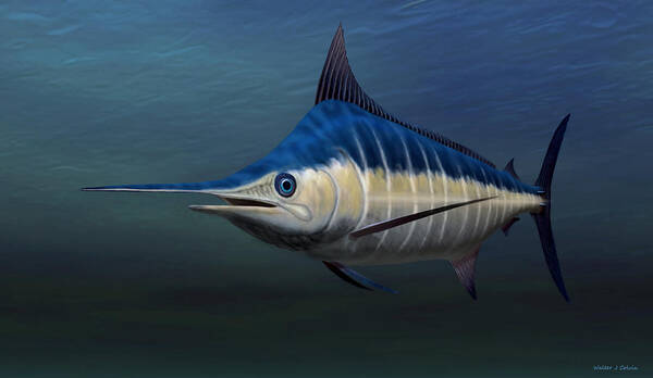 Blue Marlin Art Print featuring the digital art Blue Marlin #1 by Walter Colvin