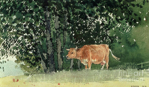 Cow In Pasture Art Print featuring the painting Cow in Pasture by Winslow Homer