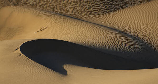 Landscape Art Print featuring the photograph Sand Dune Death Valley #3 by Joe Palermo