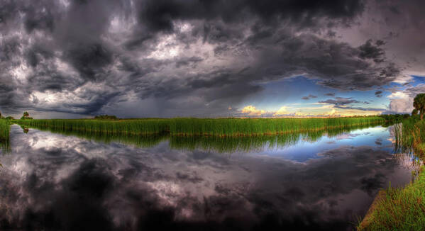 Everglades Art Print featuring the photograph Everglades Reflection by Nick Shirghio