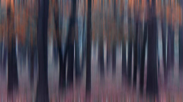 Abstract Art Print featuring the photograph Fall in the Midwest by Darlene Bushue