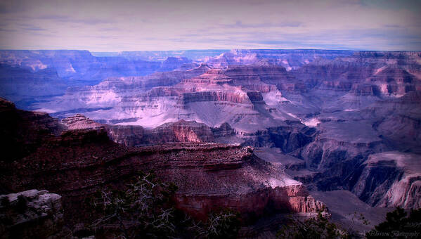 Grand Canyon Art Print featuring the photograph Grand Canyon Early Evening Light by Aaron Burrows