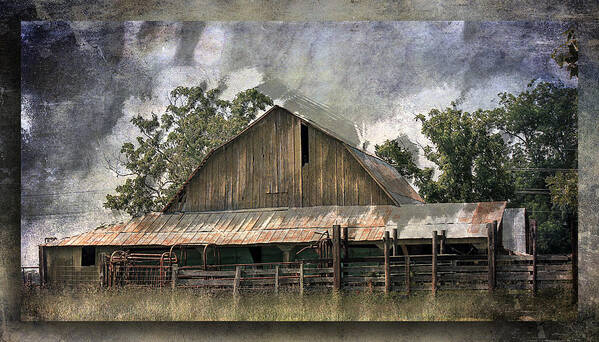 Barn Art Print featuring the photograph Old Cattle Barn by Barry Jones