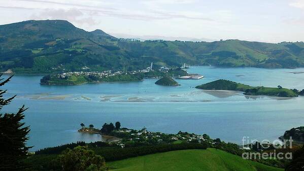 Bay Art Print featuring the photograph Otago Harbour by Therese Alcorn