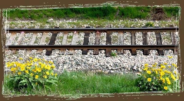 Wild Sunflowers Art Print featuring the digital art Railway Tracks And Wild Sunflowers by Will Borden