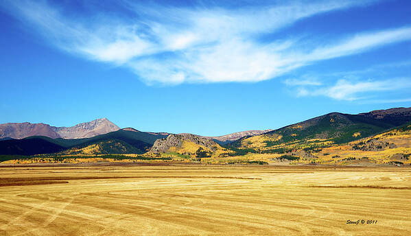 Aspen Art Print featuring the photograph South Park Aspen View by Stephen Johnson