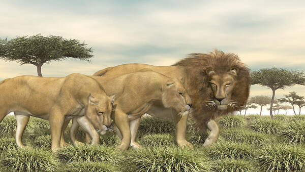 Lions Art Print featuring the digital art Three African Lions by Walter Colvin
