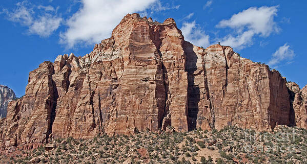 Zion National Park Art Print featuring the photograph Towering Cliffs by Bob and Nancy Kendrick