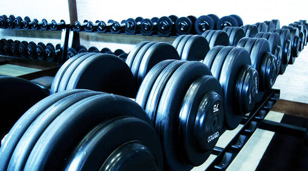 Weights Art Print featuring the photograph Weights Horizontal by Matt Hanson