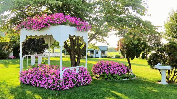 Bed Art Print featuring the photograph A Bed of Flowers #1 by Jeanette Oberholtzer