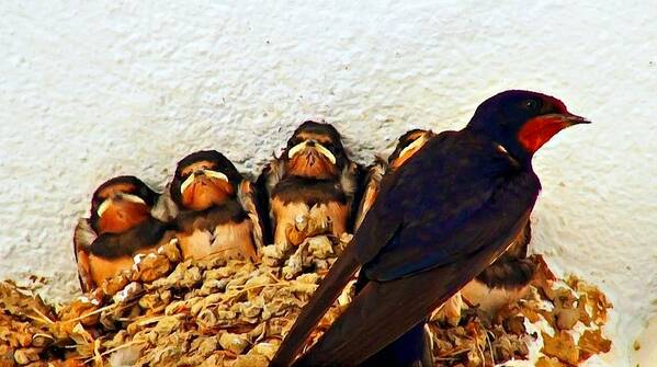 Painting Art Print featuring the painting Group of young swallows in the nest digitally painted #1 by Ken Biggs