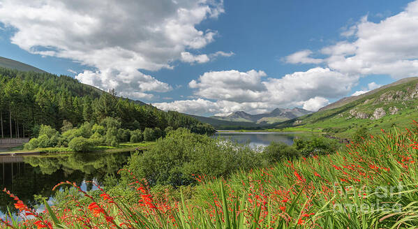 Snowdon Art Print featuring the photograph Snowdonia Lake #2 by Adrian Evans