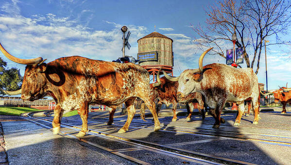 Fort Worth Texas Usa Art Print featuring the photograph Fort Worth Texas USA #16 by Paul James Bannerman