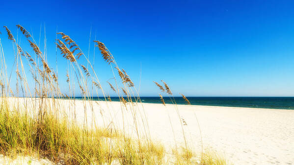 Florida Art Print featuring the photograph Beautiful Beach #3 by Raul Rodriguez
