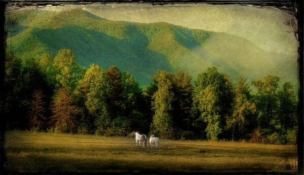 Cades Cove Art Print featuring the photograph A Pair by Mike Eingle