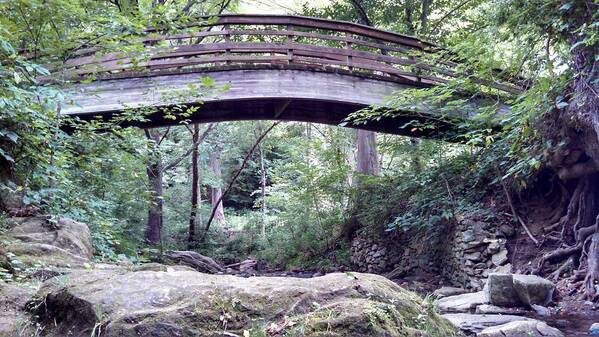 Bridge Art Print featuring the photograph A Way Over by Allen Nice-Webb