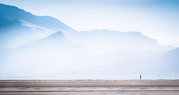Antelope Island Art Print featuring the photograph Alone by Dave Koch