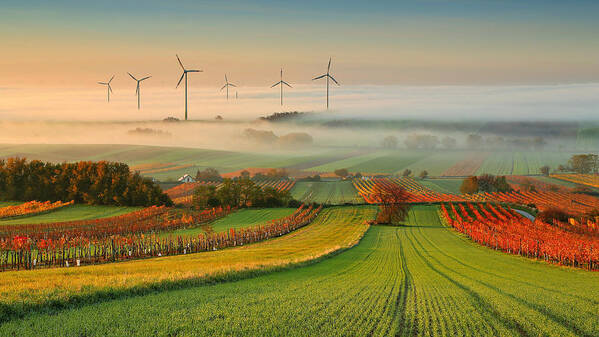 Landscape Art Print featuring the photograph Autumn Atmosphere In Vineyards by Matej Kovac