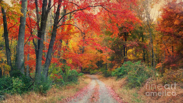 Autumn Art Print featuring the photograph Autumn In New Jersey by Beth Ferris Sale