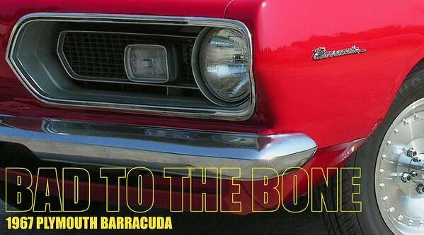 Barracuda Art Print featuring the photograph Bad To The Bone by Richard Rizzo