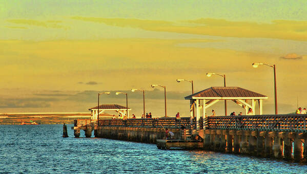 Ballast Point Pier In South Tampa Art Print featuring the photograph Ballast Point Pier in Tampa Florida by Ola Allen