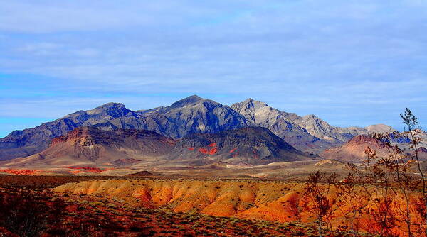 Landscape Art Print featuring the photograph Beautiful Desert by Barbara Teller