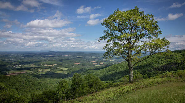 Virginia Art Print featuring the photograph Blue Ridge Parkway Scenic View by James Woody