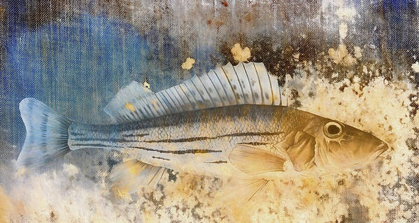 Collage Art Print featuring the photograph Book of Fish Collage by Carol Leigh