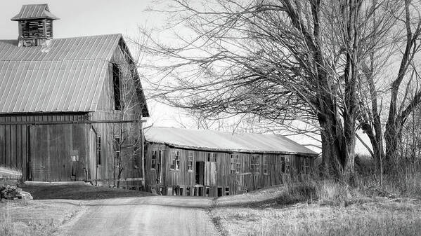 Black And White Art Print featuring the photograph Bradford County Road by Frank Morales Jr
