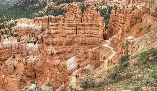 Bryce Art Print featuring the photograph Bryce Canyon by Geraldine Alexander
