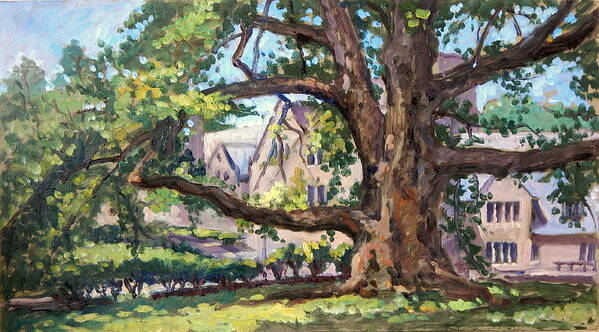 Art Art Print featuring the painting Bryn Mawr Tree Wide Reach by Thor Wickstrom