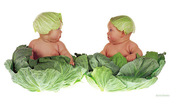 Baby Art Print featuring the photograph Cabbage Kids by Anne Geddes