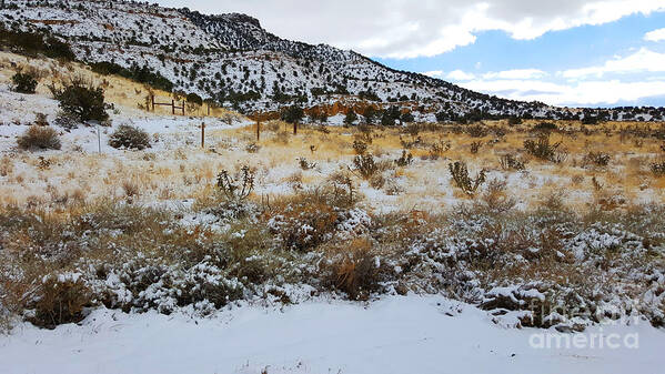 Southwest Landscape Art Print featuring the photograph Cactus in the snow by Robert WK Clark