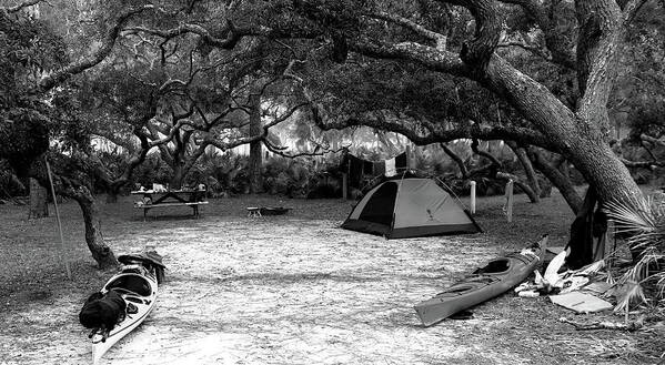 Camp Art Print featuring the photograph Camp Under Live Oaks by Daniel Reed
