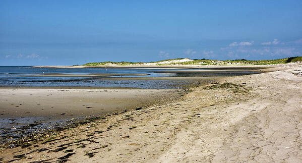 Cape Henlopen State Park Art Print featuring the photograph Cape Henlopen State Park - Delaware by Brendan Reals