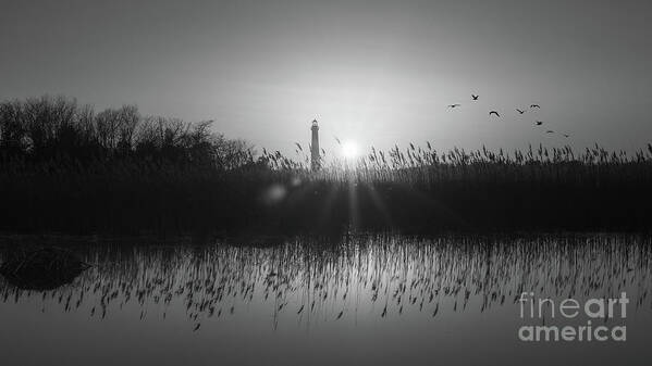 Cape May Art Print featuring the photograph Cape May Light BW Panorama by Michael Ver Sprill