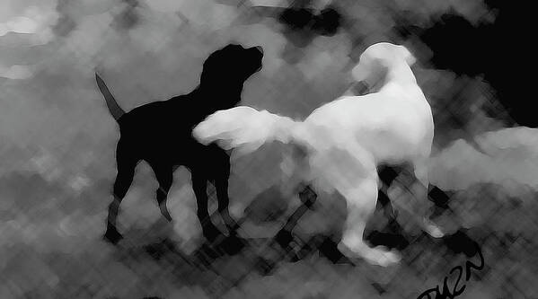 Dogs Art Print featuring the photograph Challenger by Tom Dickson