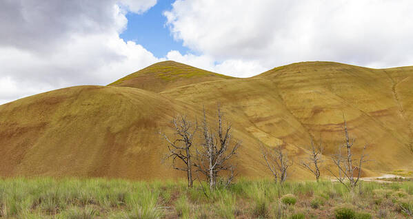 Jean Noren Art Print featuring the photograph Clear Sky at Painted Hills by Jean Noren