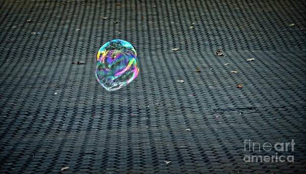 Bubble Art Print featuring the photograph Don't Burst My Bubble by Mary Machare