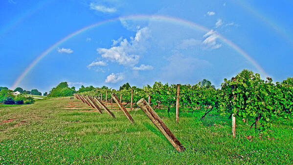 Double Rainbow Art Print featuring the photograph Double Rainbow Vineyard, Smith Mountain Lake by The James Roney Collection